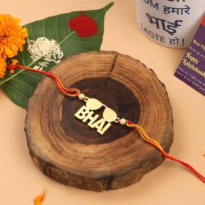 Gift Set of 3 Quirky Rakhi with Mug & Greeting Card