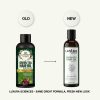 Luxura Sciences Green Tea Hair Oil with Onion Oil for Hair Nourishment & Improvement (200 ML)