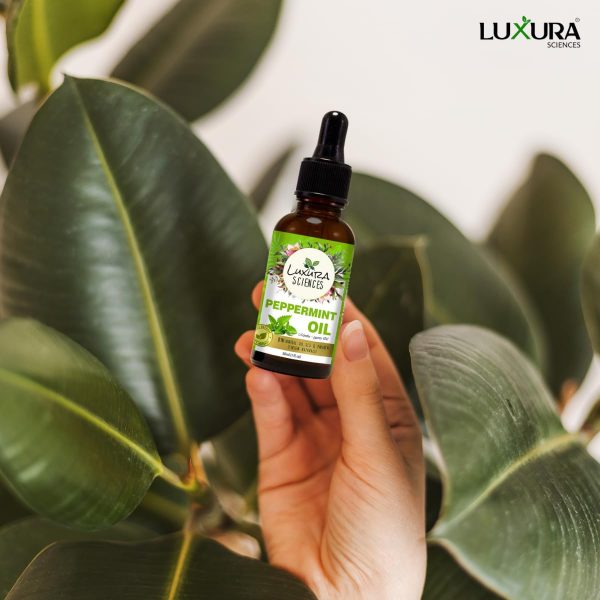 Luxura Sciences Essential oils for Hair | Skin | Nails | Aromatherapy (Peppermint, 15ml) - Image 6