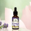 Luxura Sciences Organic Essential Oil Combo for Hair Care - Lavender, Bhringraj, Amla, Ylang Ylang & Vitamin E Oils (Pack of 5 x 15 ML)