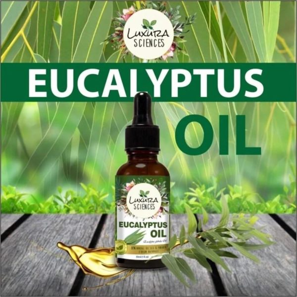 Luxura Sciences Eucalyptus Oil 30ml - Image 3
