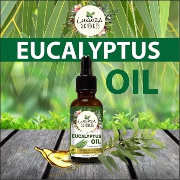 Luxura Sciences Eucalyptus Oil 30ml - Image 2