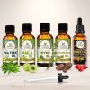 Luxura Sciences Organic Essential Oil Combo for Anti-Dandruff Hair Care - Tea Tree, Thyme, Amla, Cedarwood & Vitamin E Oils (Pack of 5 x 15 ML)